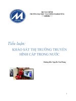 Tieu luận kinh tế lượng về truyền hình cáp