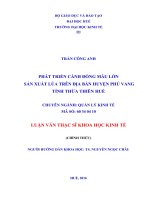 Phát triển cánh đồng mẫu lớn sản xuất lúa trên địa bàn huyện phú vang, tỉnh thừa thiên huế 