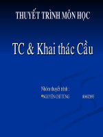Chuyên đề thi công cầu Kiểm nghiệm tĩnh và xử lí kết quả