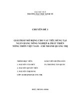 Giải pháp mở rộng cho vay tiêu dùng tại ngân hàng nông nghiệp và phát triển nông thôn việt nam – chi nhánh quảng trị 