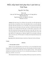 Miễn chấp hành hình phạt theo luật hình sự việt nam 