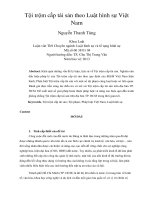 Tội trộm cắp tài sản theo luật hình sự việt nam 