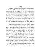 Luận án tiến sĩ chế tạo vật liệu cdsecds cấu trúc nano dạng tetrapod và nghiên cứu tính chất quang của chúng 