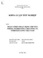 Hoàn thiện hoạt động truyền thông marketing cho công ty TNHH hải long việt nam