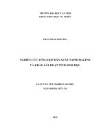 NGHIÊN CỨU TỔNG HỢP DẪN XUẤT NAPHTHALENE VÀ KHẢO SÁT HOẠT TÍNH SINH HỌC