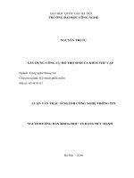 Xây dựng công cụ hỗ trợ sinh ca kiểm thử cặp (TT) 