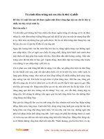 Văn mẫu lớp 5: Tả cảnh đêm trăng mà em cho là thú vị nhất