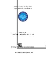 TIỂU LUẬN CƠ SỞ HỆ THÔNG TIN ĐỊA LÝ GIS: Ứng dụng GIS trong quản lý đất đai