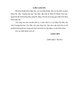 Chiến dịch tây bắc 1952, ý nghĩa lịch sử và bài học kinh nghiệm 