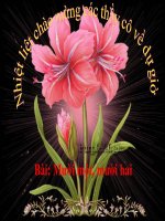 Bài giảng Toán 1 chương 3 bài 5: Mười một, mười hai