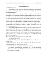 Bài giảng: Toán chuyên đề 2  phương pháp tính