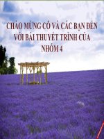 Vấn Đề Năng Lực Chủ Thể Của Cá Nhân Và Chế Định Giám Hộ