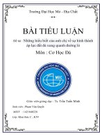 BÀI TIỂU LUẬN Cơ Học Đá : Những hiểu biết của anh chị về sự hình thành áp lực đất đá xung quanh đường lò