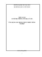TIỂU LUẬN CƠ SỞ HỆ THÔNG TIN ĐỊA LÝ GIS: ỨNG DỤNG GIS TRONG PHÁT TRIỂN NÔNG NGHIỆP