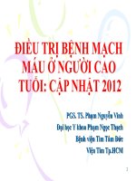 dt benh mach mau o nguoi cao tuoi cn 2012 