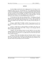 THIẾT KẾ BỘ PHÁT MA WALSH CHO HỆ ĐO KÊNH MIMO DÙNG CÔNG NGHỆ FPGA