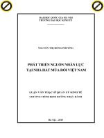 Phát triển nguồn nhân lực tại nhà hát múa rối việt nam 