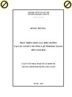 Phát triển nhân lực điều dưỡng tại các cơ sở y tế công lập tỉnh bắc giang đến năm 2020 