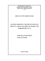 LUẬN VĂN GIẢI PHÁP MARKETING  MIX CHO SẢN PHẨM TRẢ TRƯỚC CỦA TRUNG TÂM THÔNG TIN DI ĐỘNG VMSMOBIFONE KHU VỰC II