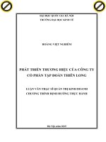 Phát triển thương hiệu của công ty cổ phần tập đoàn thiên long 