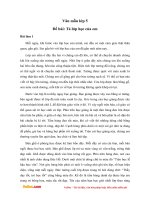 Văn mẫu lớp 5: Tả lớp học của em