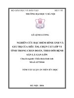 Nghiên cứu đặc điểm hình ảnh và giá trị của siêu âm, chụp cắt lớp vi tính trong chẩn đoán, theo dõi bệnh sán lá gan lớn (TT)