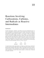 Carbocation carbenes radicals from advanced organic chemistry partb
