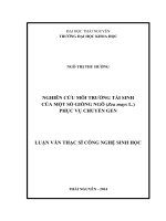 LUAN VAN - NGO THI THU HUONG (22.10).in nop bia cung