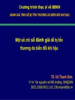 3  chi so danh gia tinh de bi ton thuong
