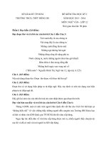 Đề thi học kỳ I môn Ngữ văn lớp 12 trường Đông Du, TP.HCM năm học 2015 - 2016