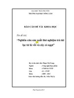 Nghiên cứu sản xuất thử nghiệm trà túi lọc từ lá vối và cây cỏ ngọt 