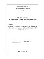 Nghiên cứu ứng dụng công nghệ enzyme để sản xuất đường chức năng xylose từ lõi ngô dùng trong công nghiệp thực phẩm 