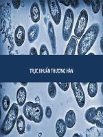 trực khuẩn thương hàn