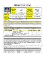 CV tiếng anh cho người mới ra trường