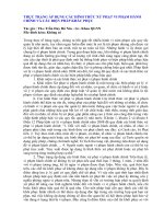 THỰC TRẠNG ÁP DỤNG CÁC HÌNH THỨC XỬ PHẠT VI PHẠM HÀNH CHÍNH VÀ CÁC BIỆN PHÁP KHẮC PHỤC