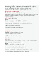 Những mẫu câu nhấn mạnh về cảm xúc trong tiếng NHật