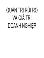 quản trị rủi ro và giá trị doanh nghiệp