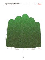 Mô hình Kim tự tháp mặt trời, Mexico  Hibun. P1