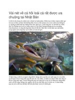 Vài nét về cá hồi loài cá rất được ưa chuộng tại nhật bản 