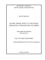 Sự phụ thuộc đuôi và ứng dụng trong đo lường rủi ro tài chính 