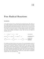 Free radical reactions from advanced organic chemistry