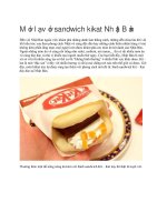 Ẩm thực Nhật Bản sandwich kikat nhật bản