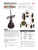 Mô hình Windmill, Holland