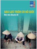 chuyên đề bạo hành trên cơ sở giới