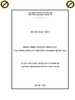 Phát triển nguồn nhân lực tại tổng công ty truyền tải điện quốc gia 