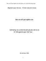 Báo cáo kết quả nghiên cứu Ảnh hưởng của vụ kiện bán phá giá giày mũ da của EC đối ngành da giày Việt Nam