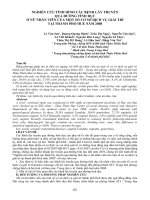 NGHIÊN CỨU TÌNH HÌNH CÁC BỆNH LÂY TRUYỀN QUA ĐƯỜNG TÌNH DỤC Ở NỮ NHÂN VIÊN CỦA MỘT SỐ CƠ SỞ DỊCH VỤ GIẢI TRÍ TẠI THÀNH PHỐ HUẾ NĂM 2008