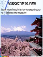 Introduction to japan