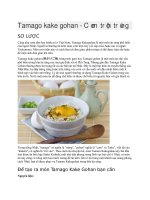 Giới thiệu Cơm trộn trứng tamago kake gohan