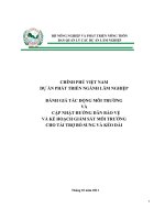 ĐÁNH GIÁ TÁC ĐỘNG MÔI TRƯỜNGVÀCẬP NHẬT HƯỚNG DẪN BẢO VỆ VÀ KẾ HOẠCH GIÁM SÁT MÔI TRƯỜNG CHO TÀI TRỢ BỔ SUNG VÀ KÉO DÀI
